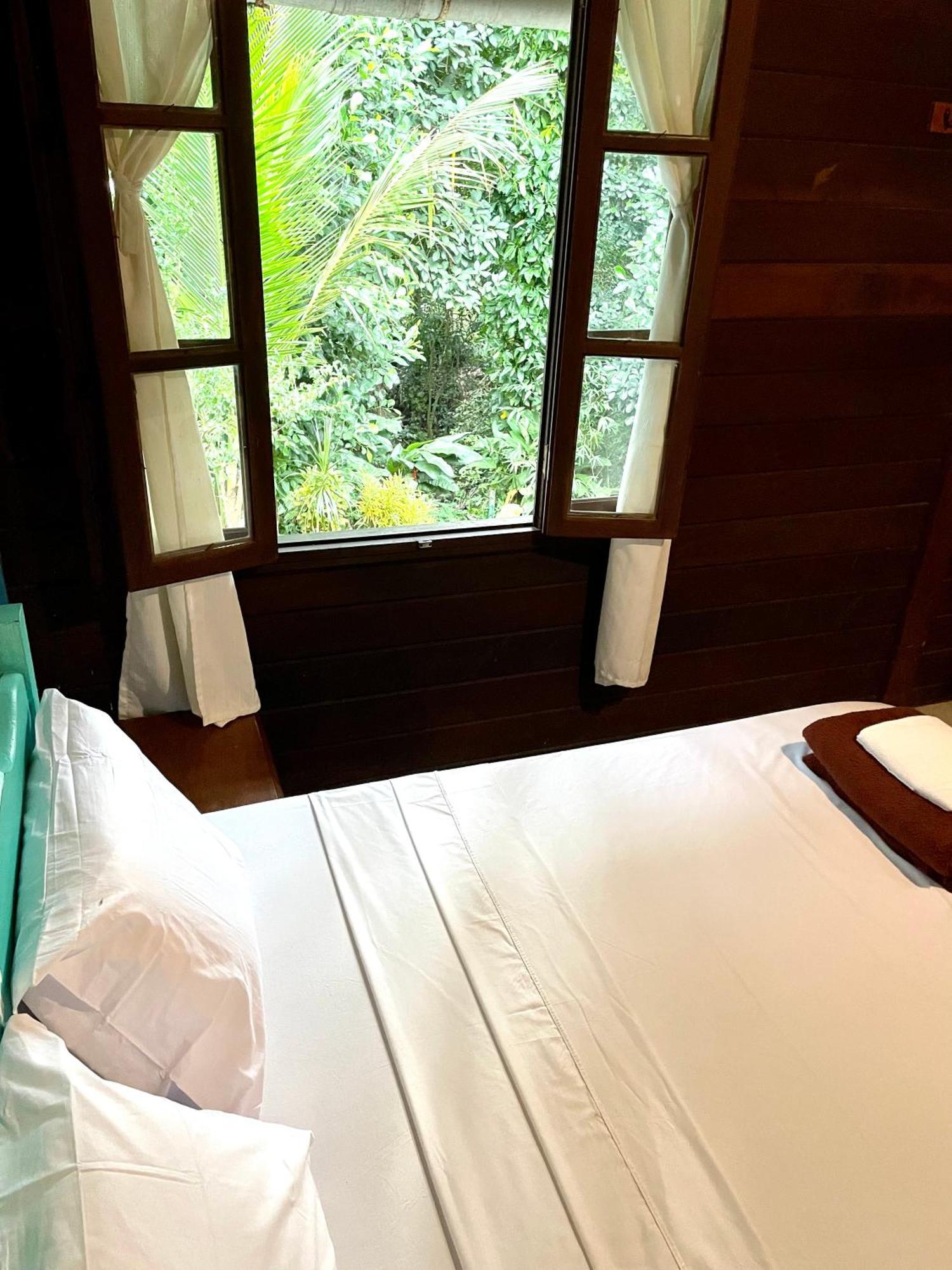 Casa Selva - Vila Do Abraao - Ilha Grande Kültér fotó